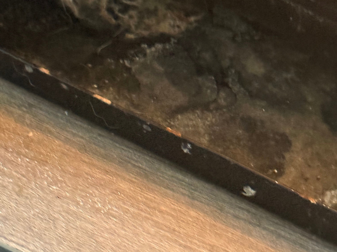 La Quinta Inn & Suites by Wyndham Tupelo主图