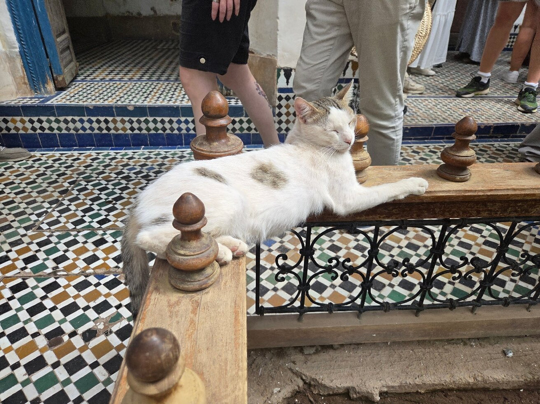 Morocco Travel Time-马拉喀什必去景点