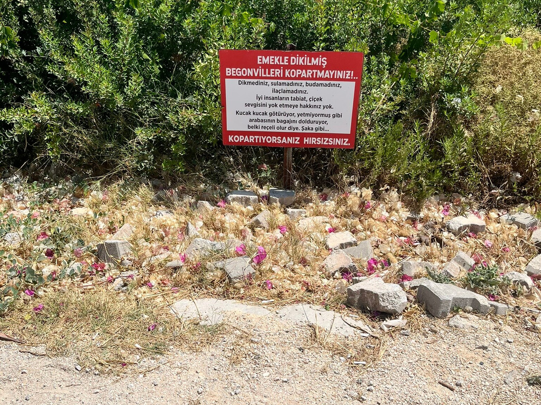 Duvar Akvaryumlu Ev-切什梅必去景点