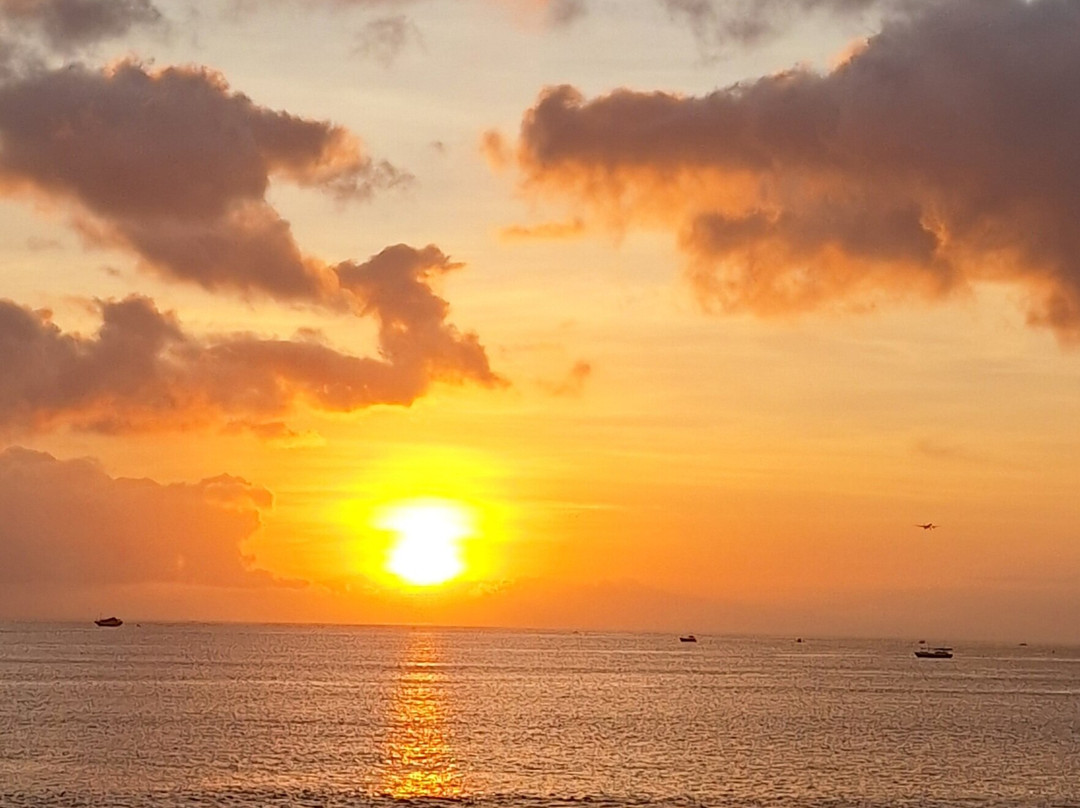 Kirani Bali Tour-罗威那海滩必去景点