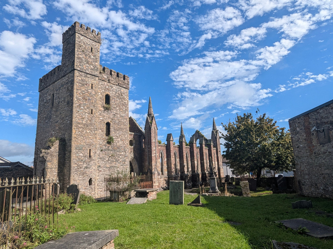 Selskar Abbey-County Wexford必去景点