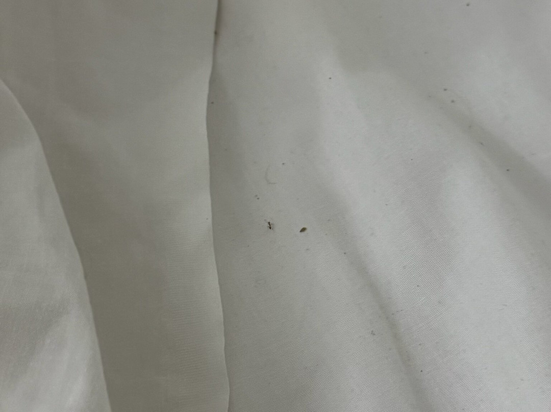 Scaleta Beach Hotel主图