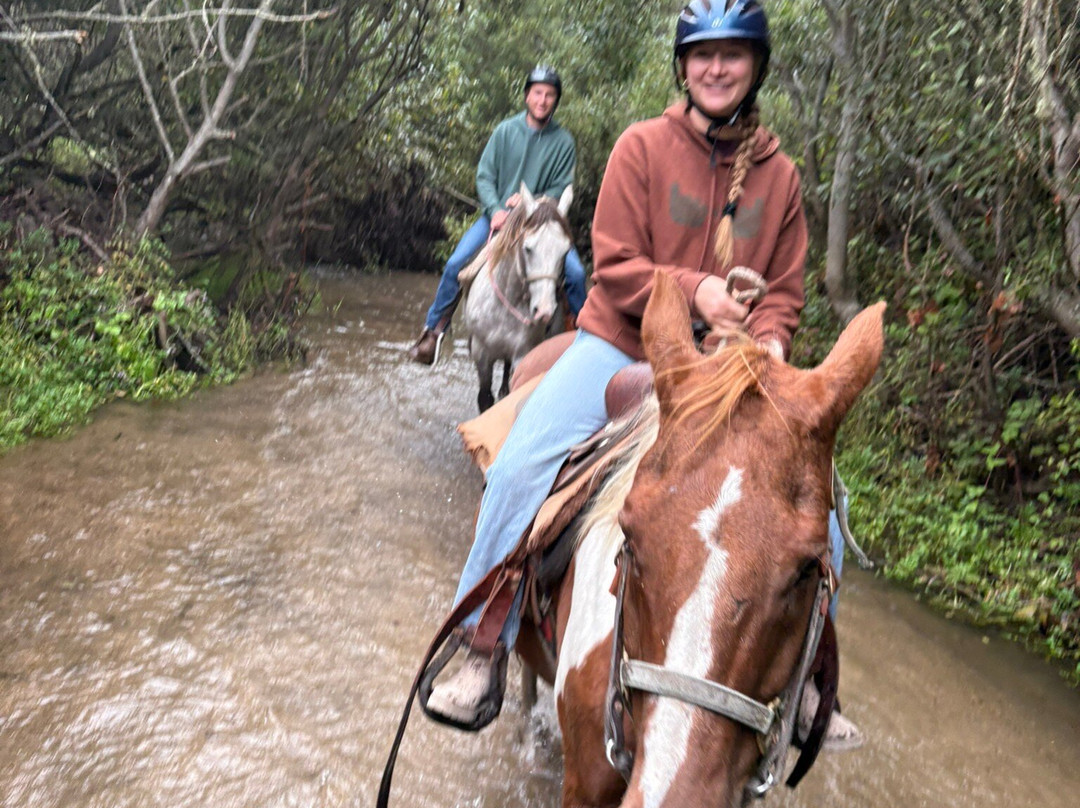 Sea Horse Ranch-半月湾必去景点
