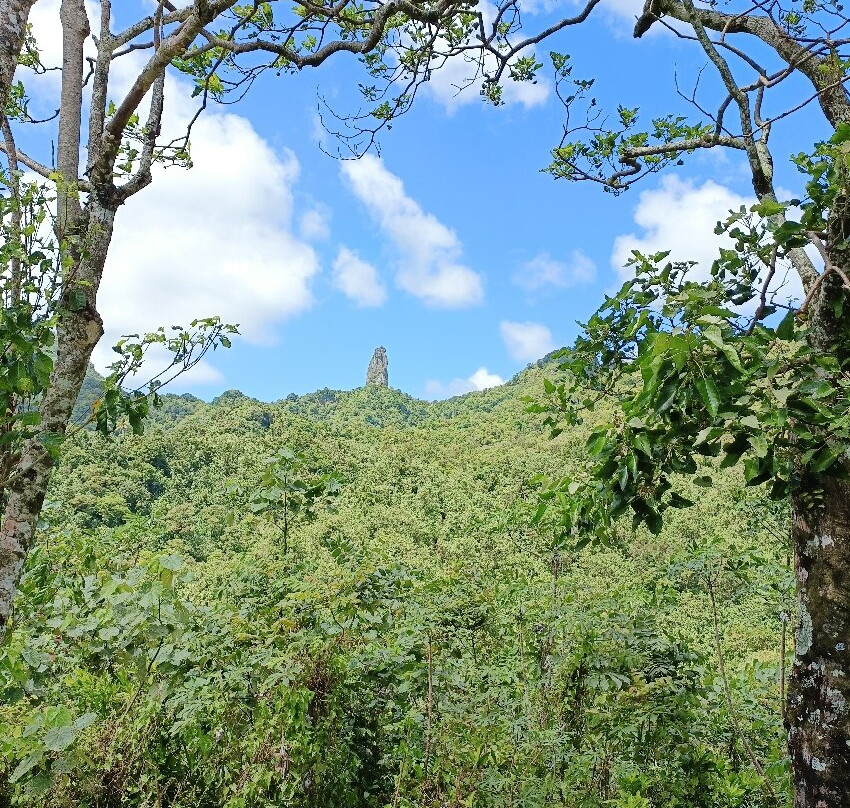 Raro Mountain Safari Tour-拉罗汤加必去景点