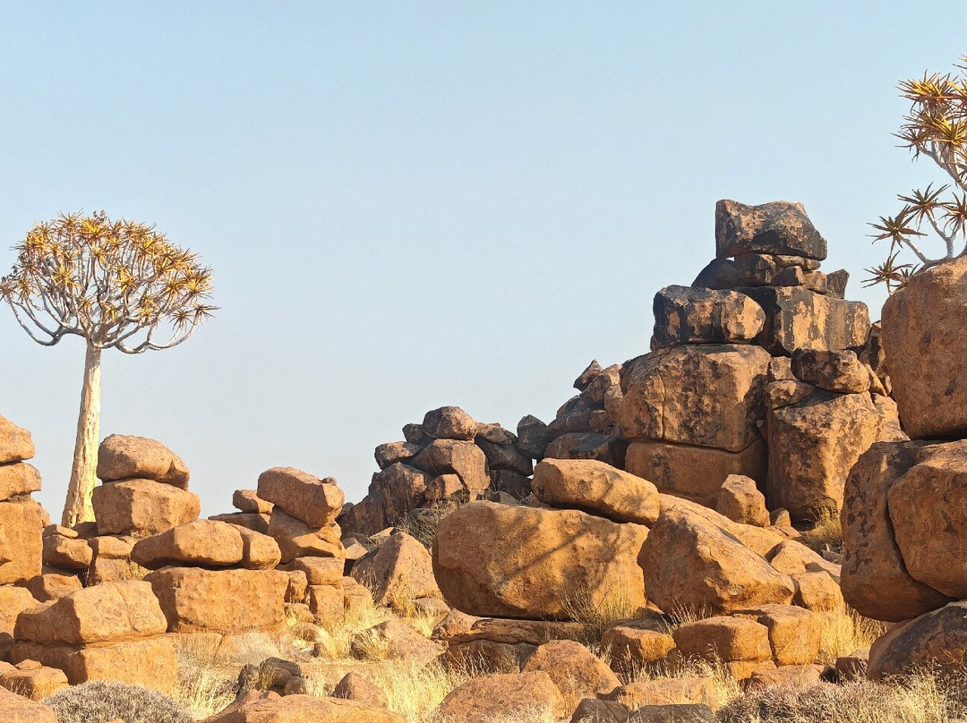 Quivertree Forest and Giant's Playground-Keetmanshoop必去景点