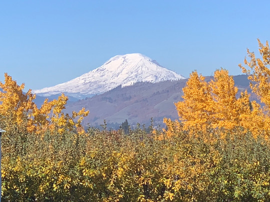 Pearl's Place Fruit Stand-胡德里弗必去景点