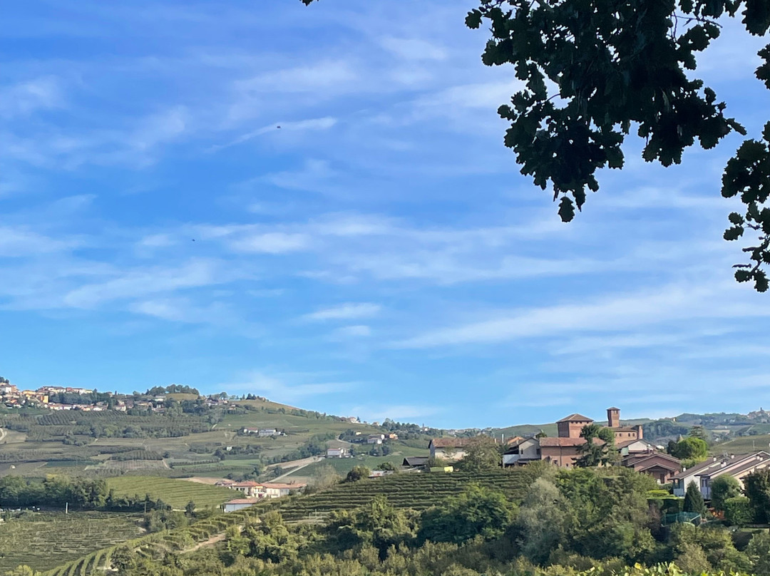 Agriturismo Tetto Garrone主图