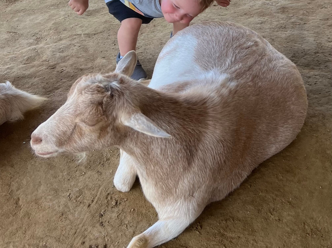 Wildlife World Zoo and Aquarium-Litchfield Park必去景点