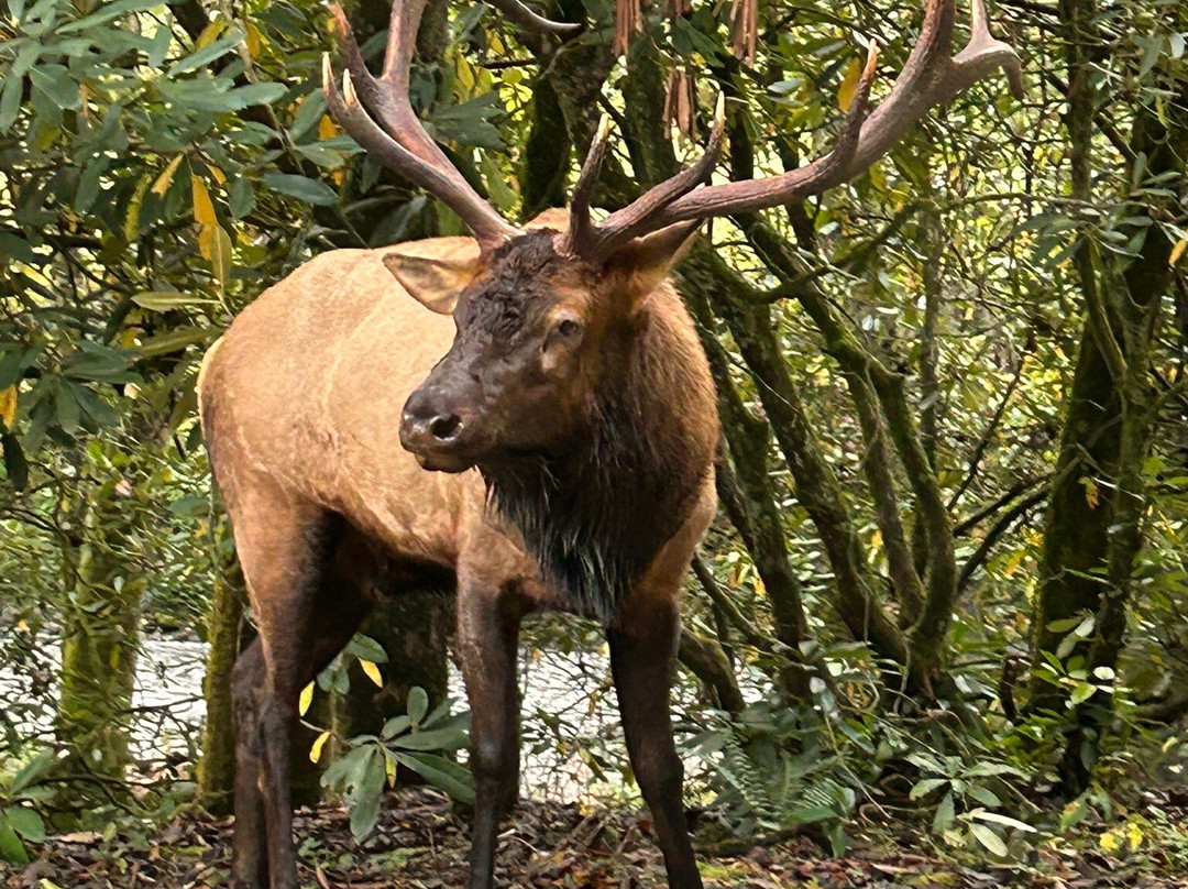 Super 8 by Wyndham Cherokee主图