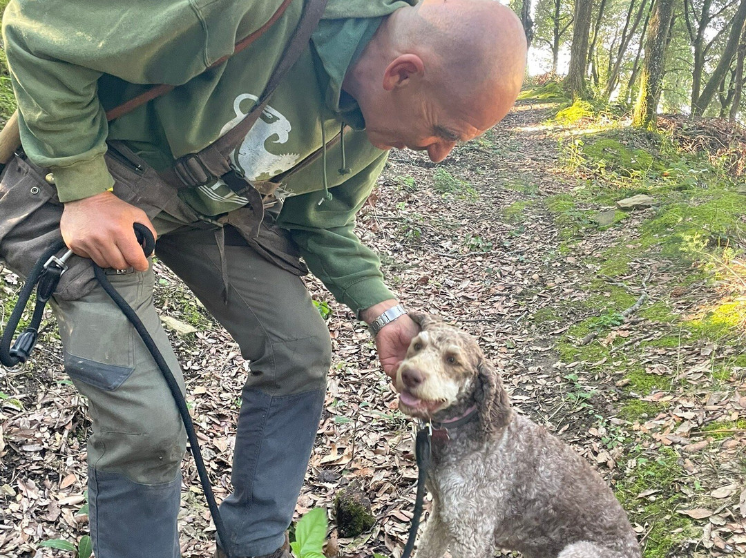 Villa La Ripa-阿雷佐必去景点