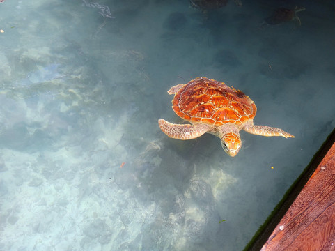 YourHolidayAbroad-阿鲁沙必去景点