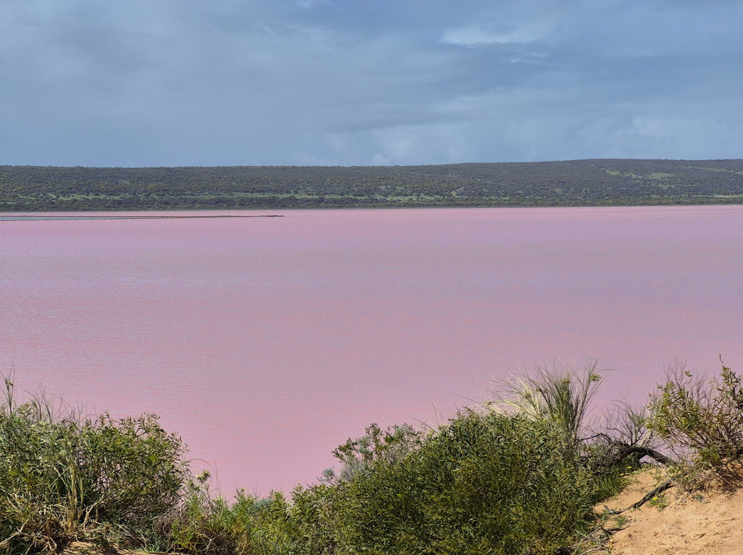 Pink Lake-卡尔巴里必去景点