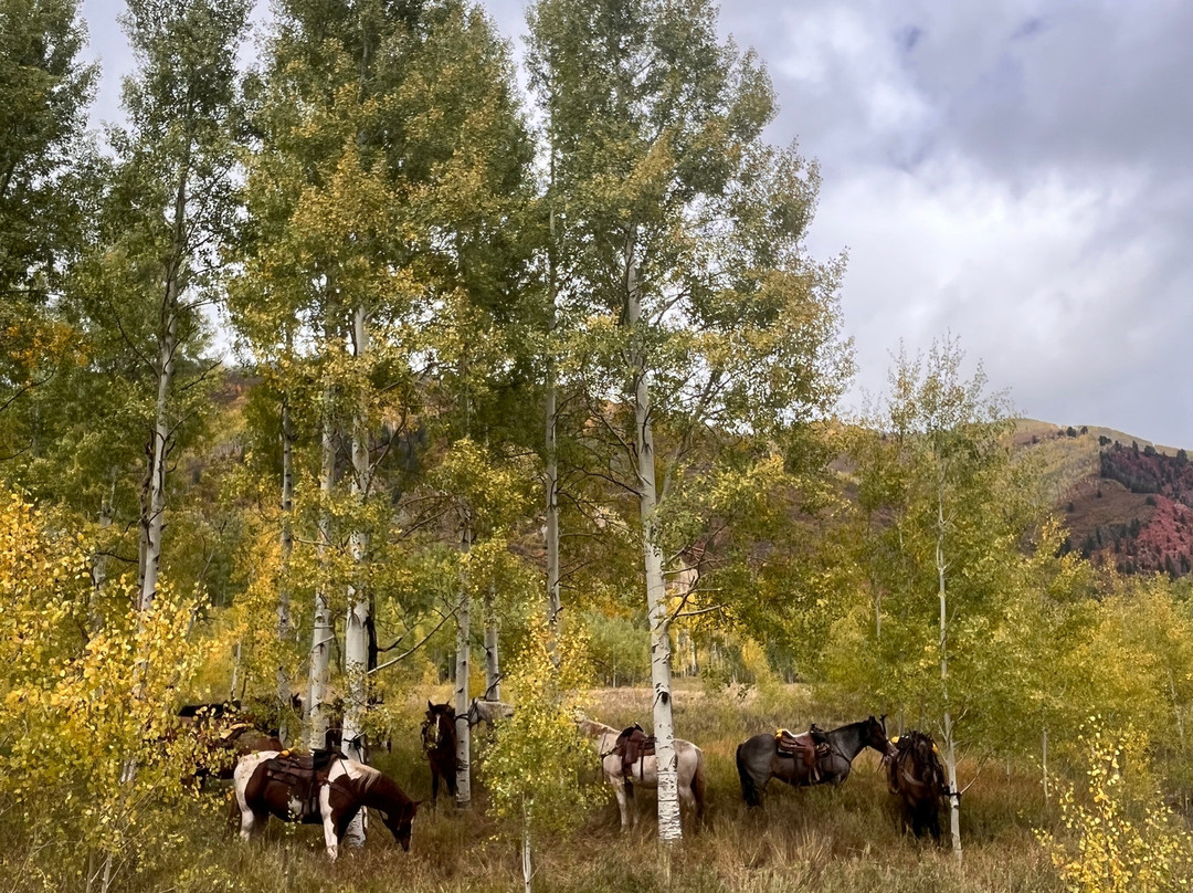 Snowmass Creek Outfitters-斯诺马斯村必去景点