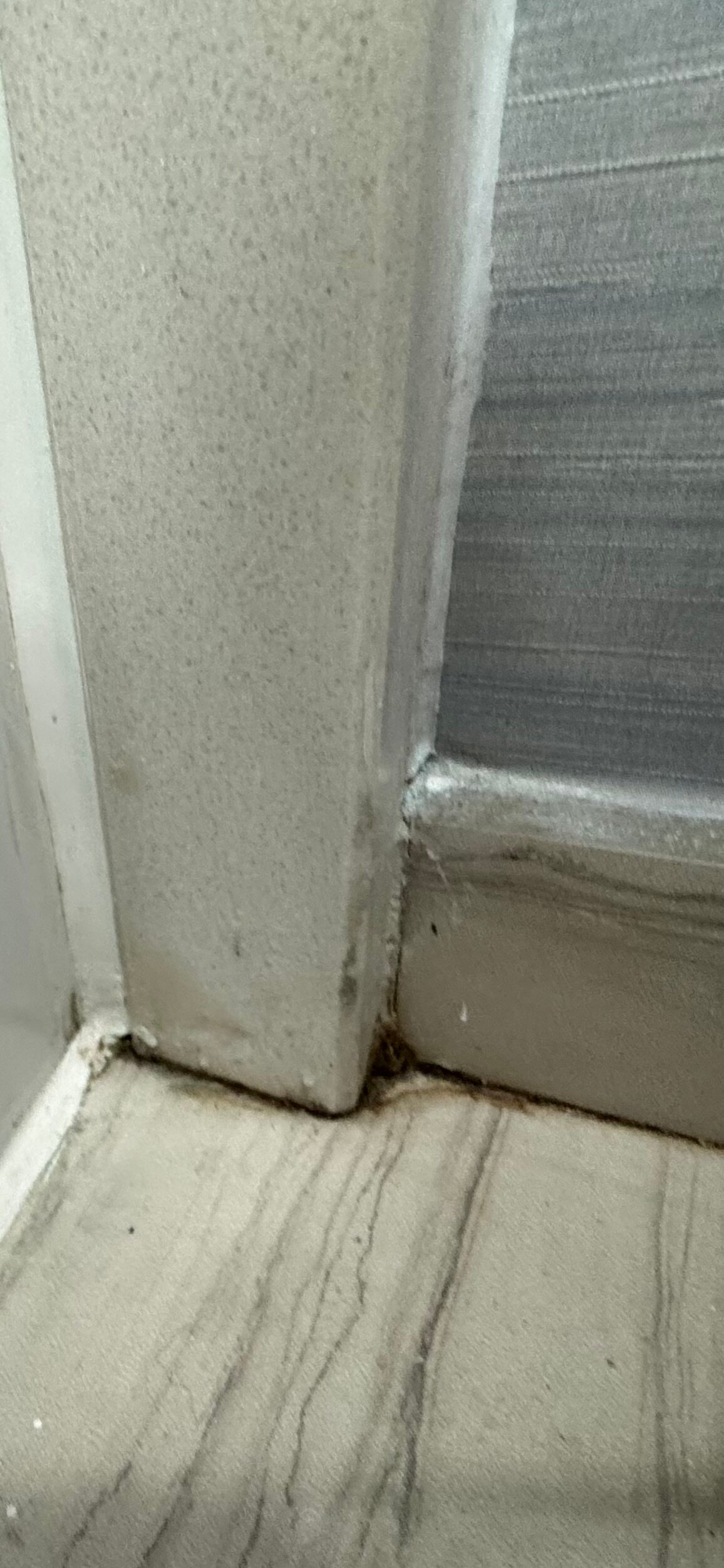 Best Western Freeport Inn-官方