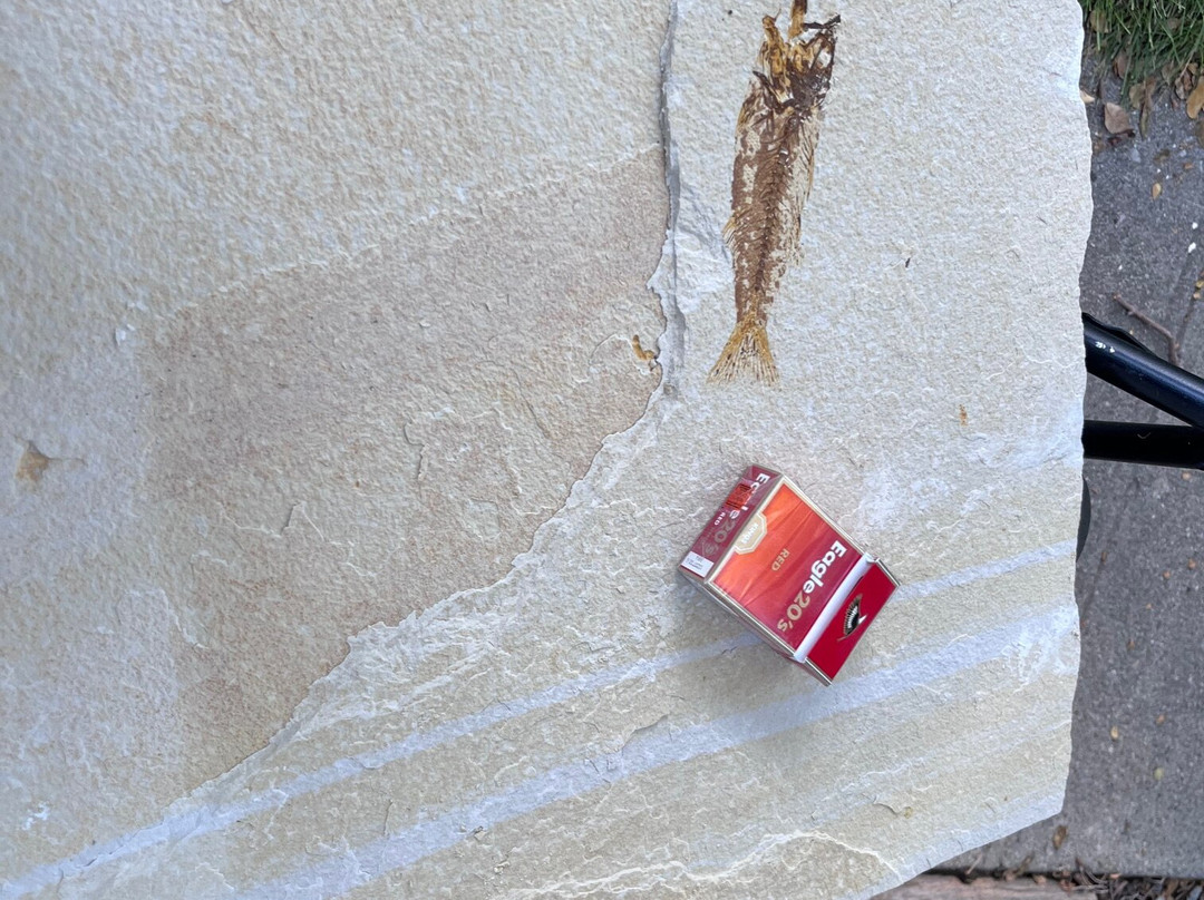 American Fossil-Kemmerer必去景点