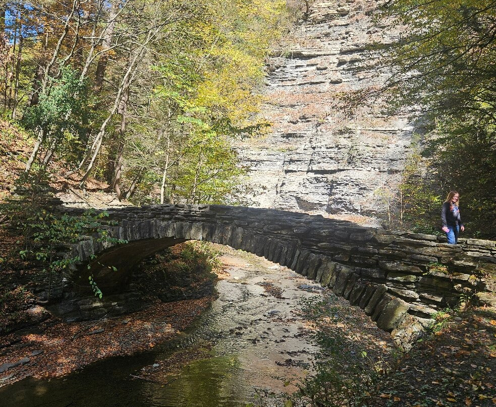 Stony Brook State Park-Dansville必去景点