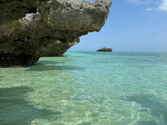 Saad Zanzibar Tour Guide-石头城必去景点
