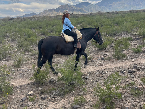 Rancho El Jarillal-门多萨必去景点