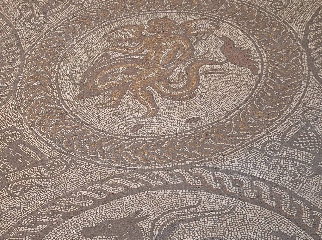 Fishbourne Roman Palace & Gardens-奇切斯特必去景点