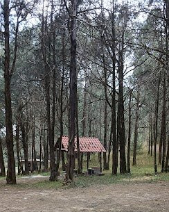 Santuario de las Luciérnagas - Bosque Mágico-Tlaxcala必去景点