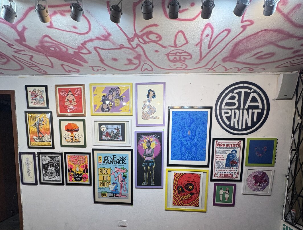 Nudo Street Art Gallery and Tours-基多必去景点