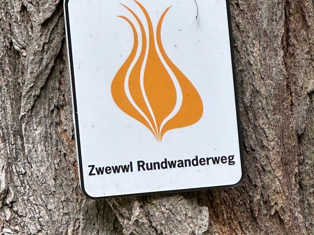 Queichwiesen-Offenbach an der Queich必去景点