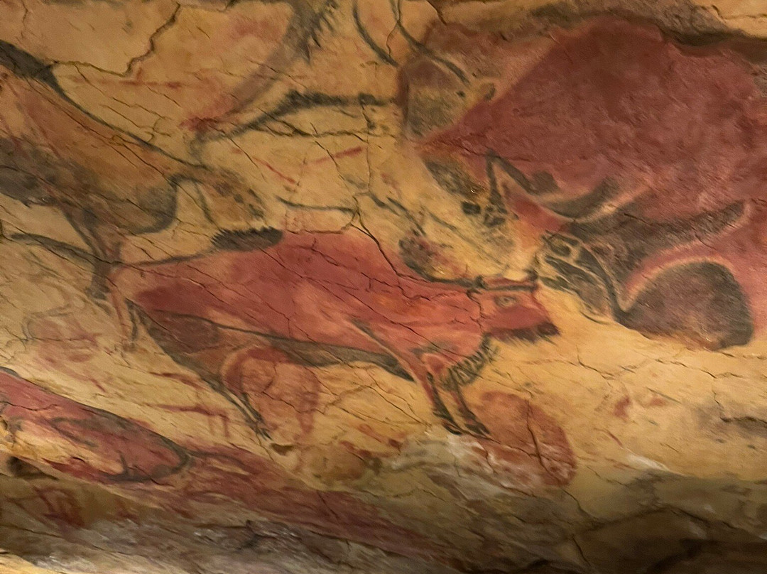 Museo de Altamira-海边的散提亚拿必去景点