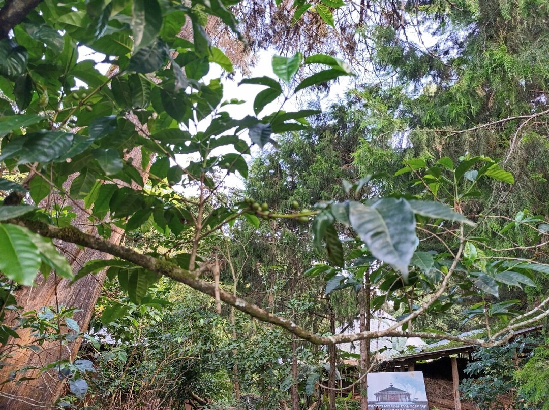 Azwa St. Maryam Church-巴哈尔达尔必去景点