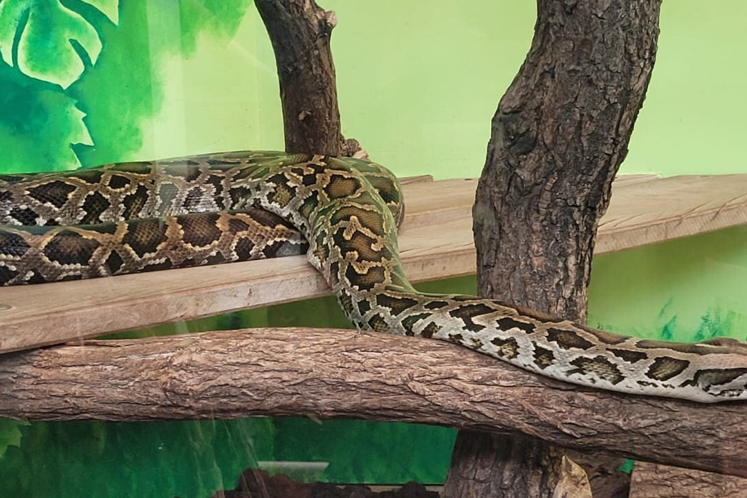 Saarbrucker Zoo-萨尔布吕肯必去景点