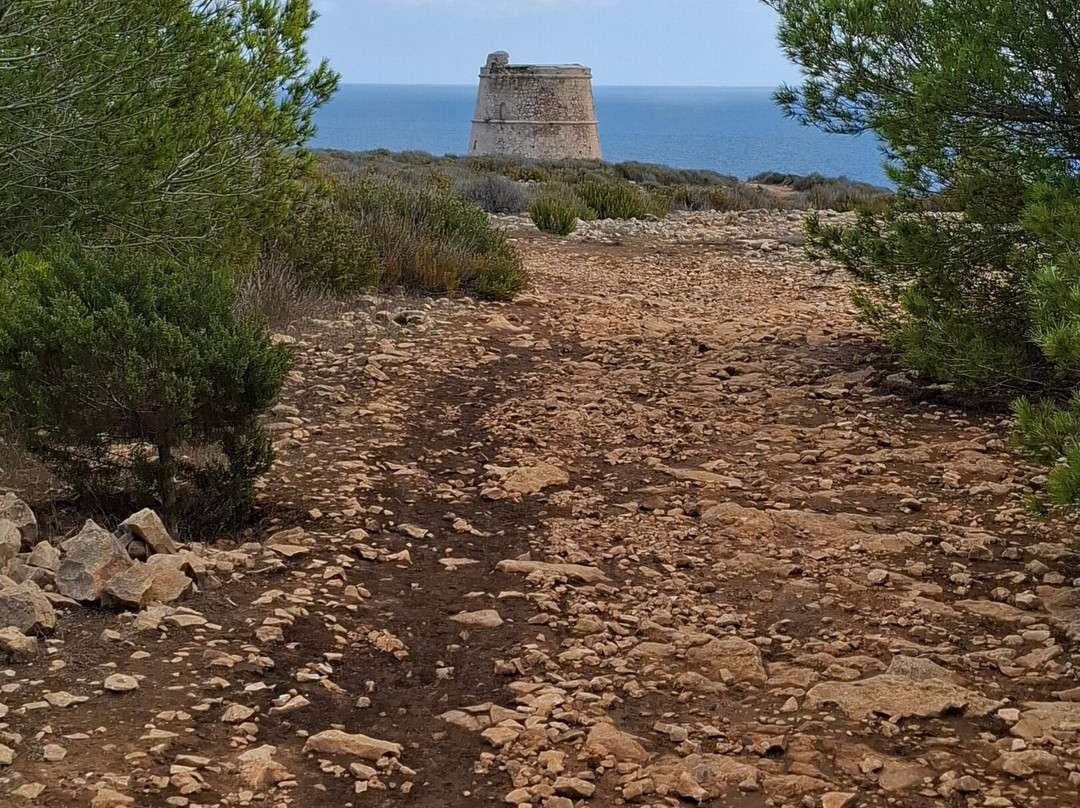 National Park Cap de Barbaria-Es Cap de Barbaria必去景点