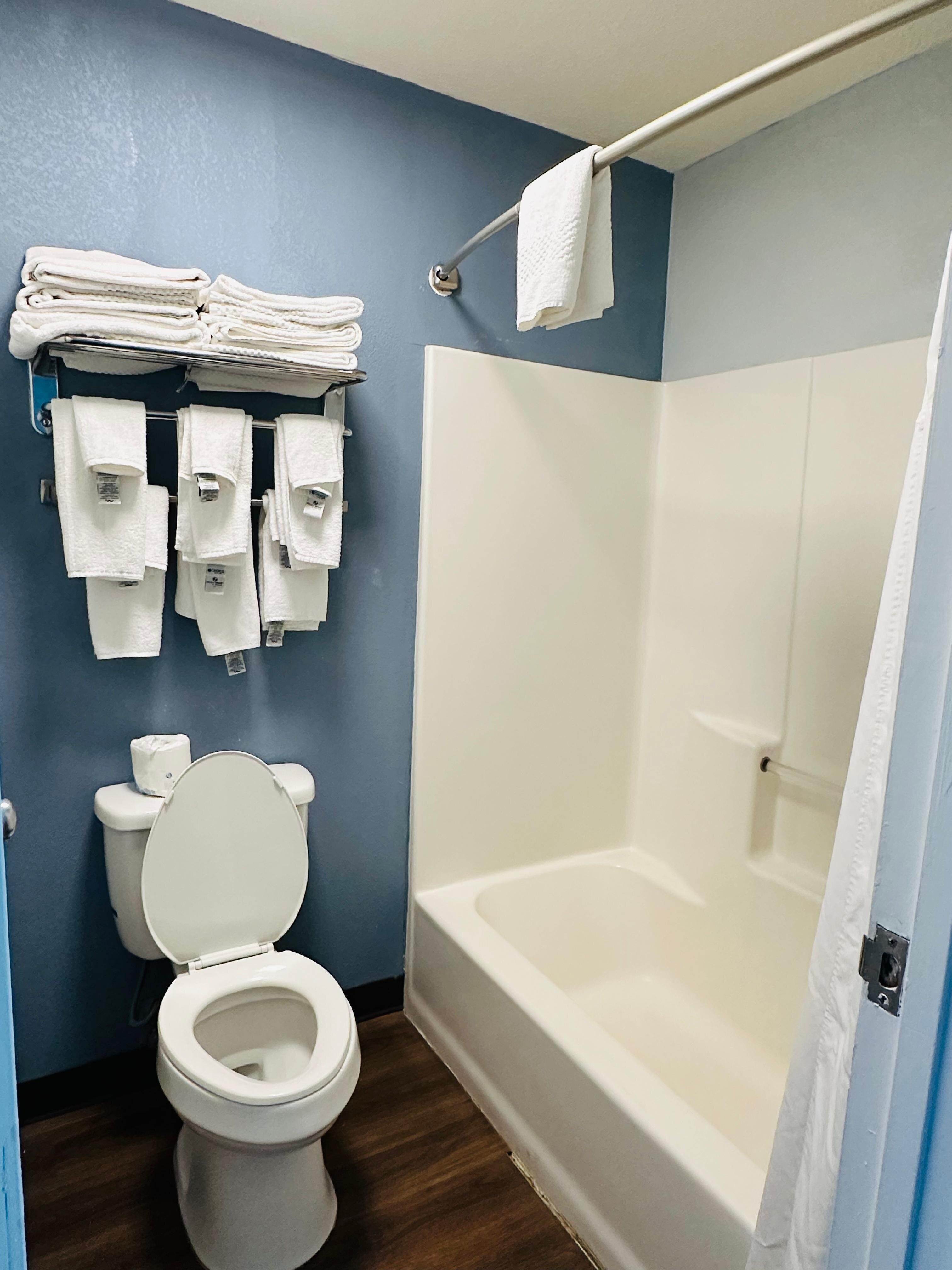 Quality Inn - On The Lake-Boydton-浴室