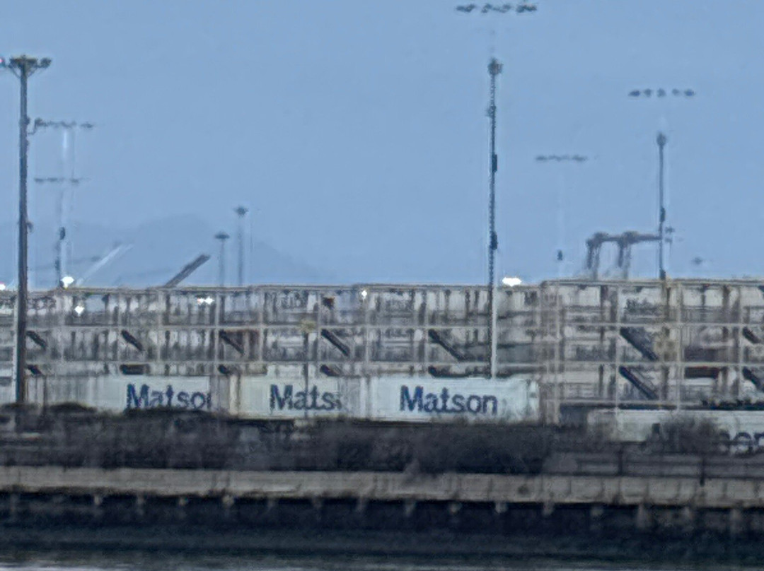 Port View Park-奥克兰必去景点