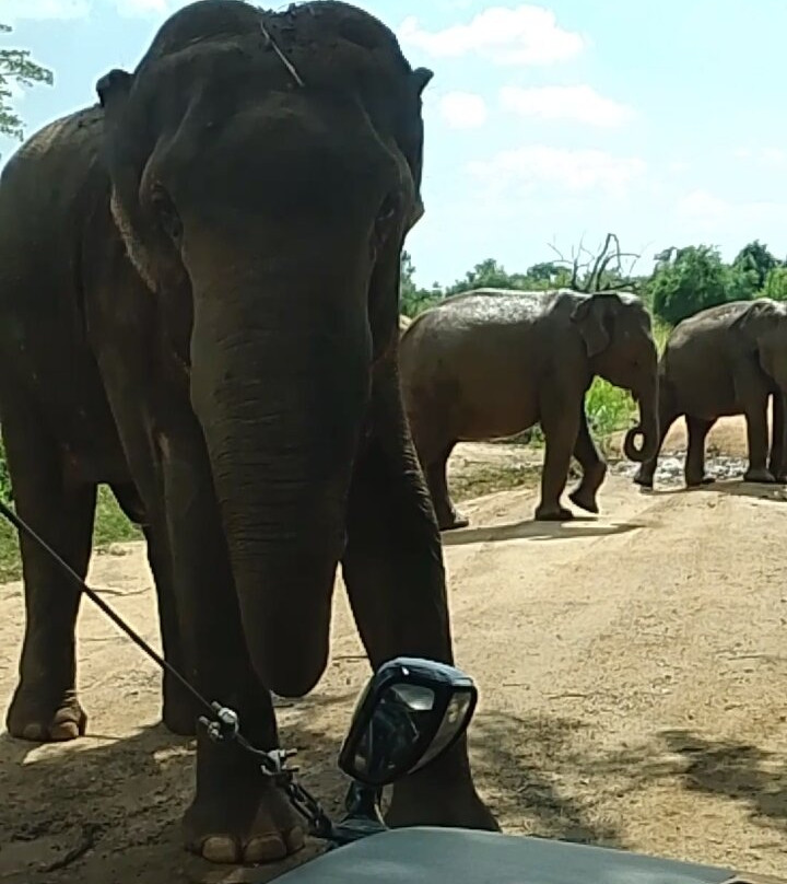 Hurulu Eco Park-哈巴拉娜必去景点