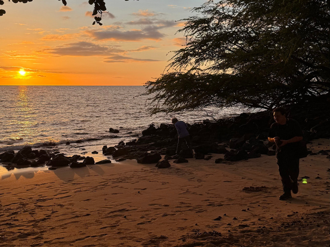 斯宾塞海滨公园-卡慕也拉必去景点