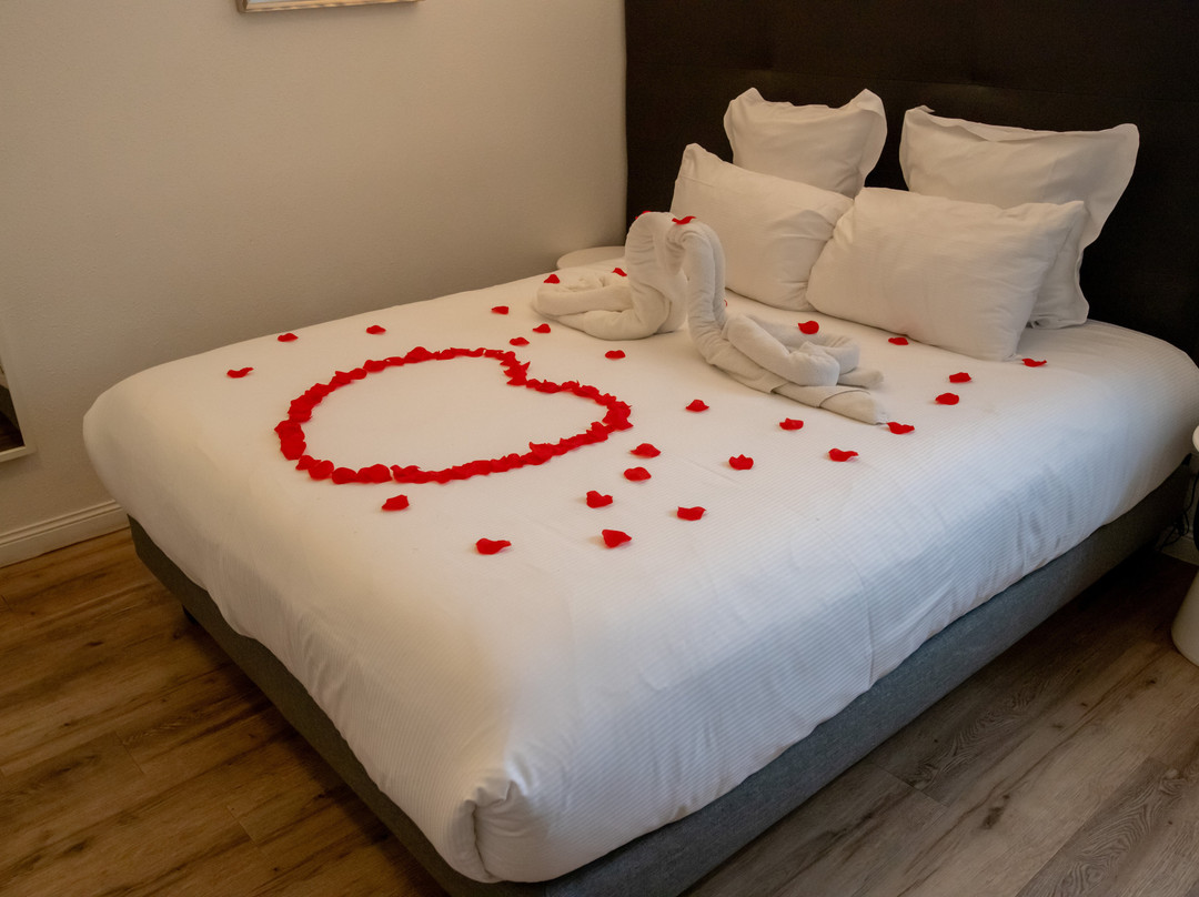 Best Western Plus Au Cheval Blanc主图