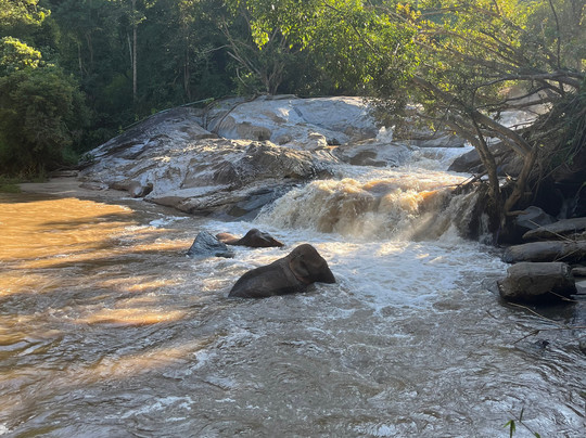 Joy Elephant Sanctuary-清迈必去景点
