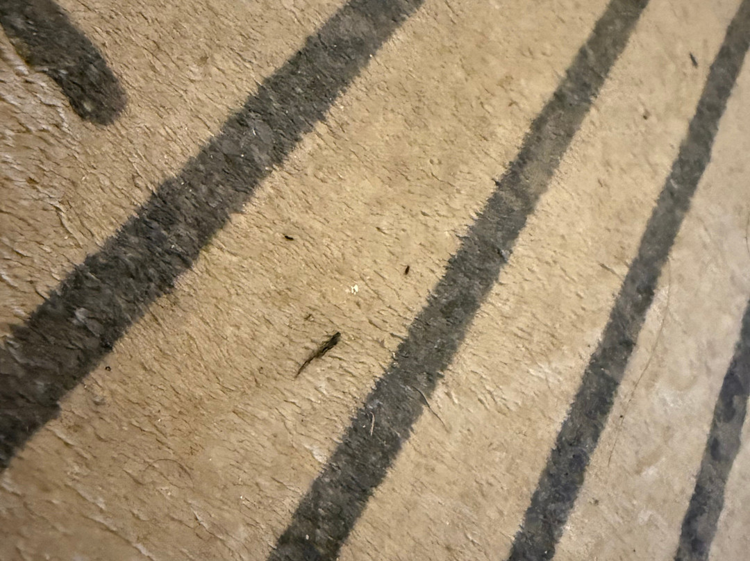 30A套房酒店主图