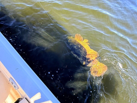 Boca Grande and Beyond-Boca Grande必去景点