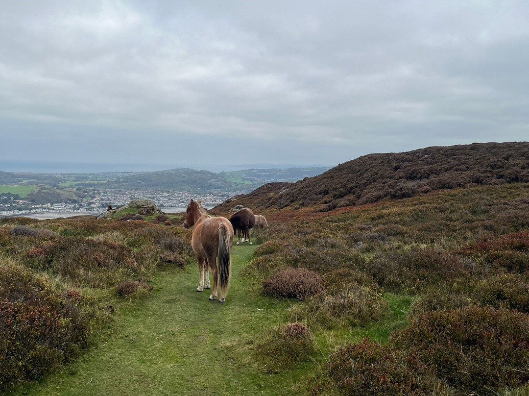 Llanfair Arms-Llanfairfechan必去景点