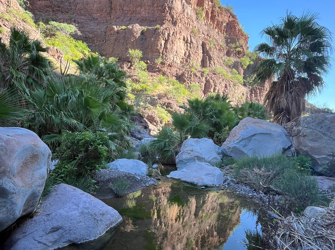 Loreto Guide with Said Orozco-洛雷托必去景点