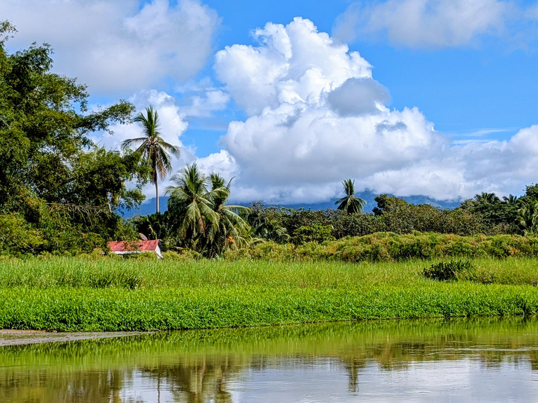 Mangrove Boat Tour-克波斯必去景点