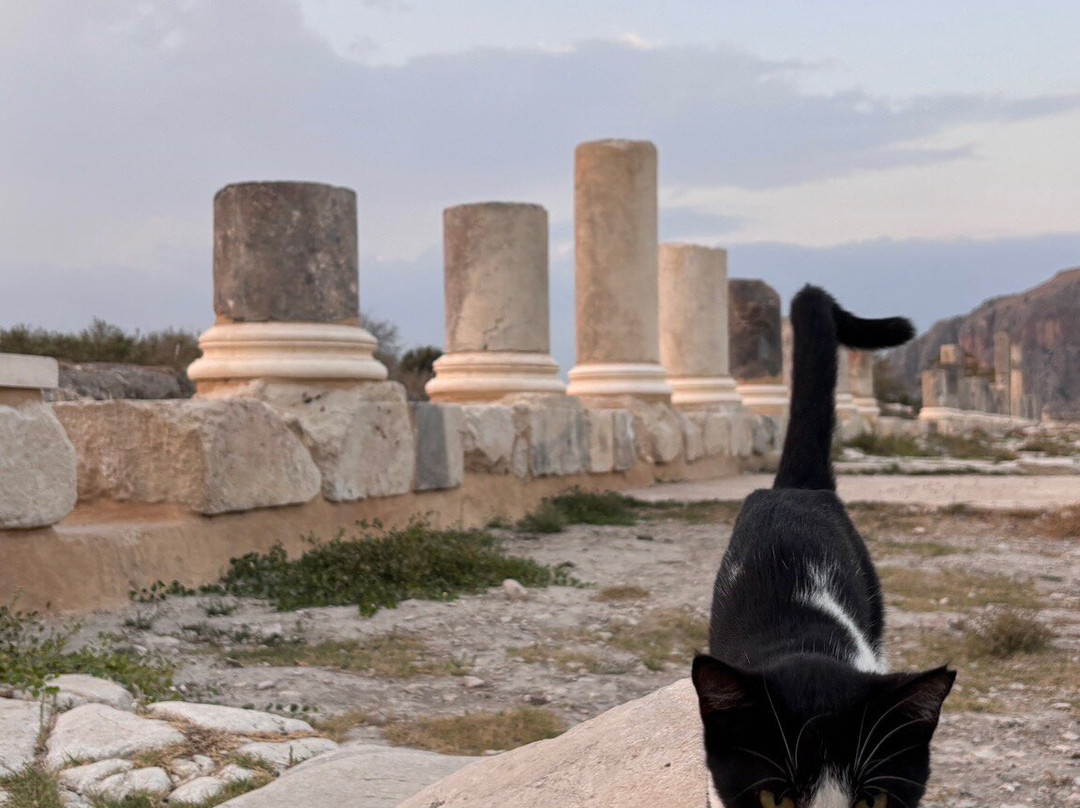 Anavarza Ruins-Adana必去景点