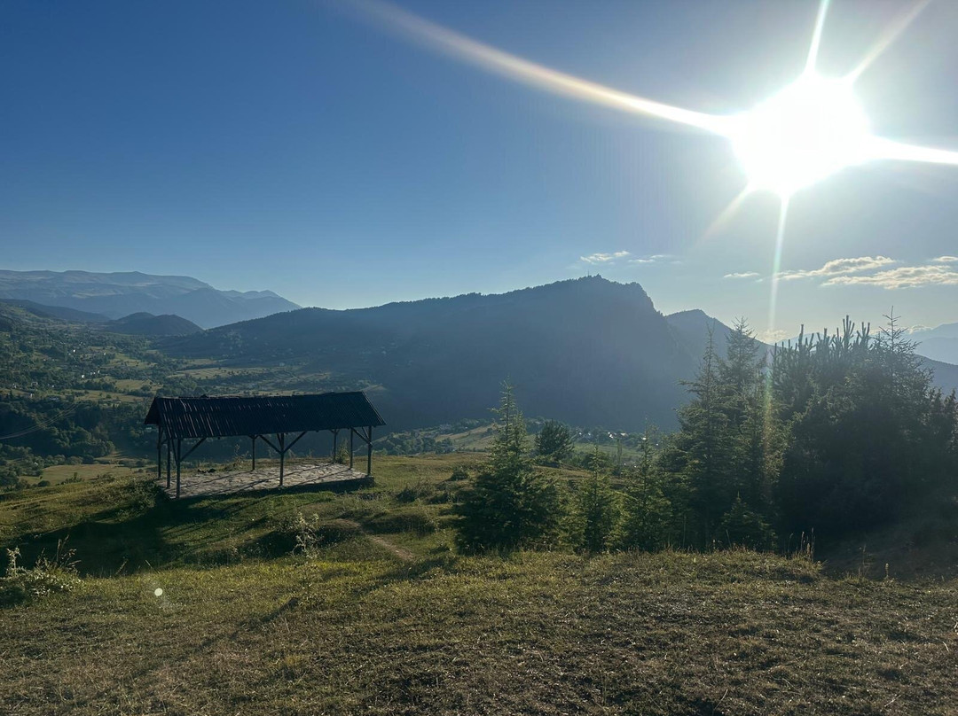 Yavuzköy orman parkı Seyir yeri-Savsat必去景点