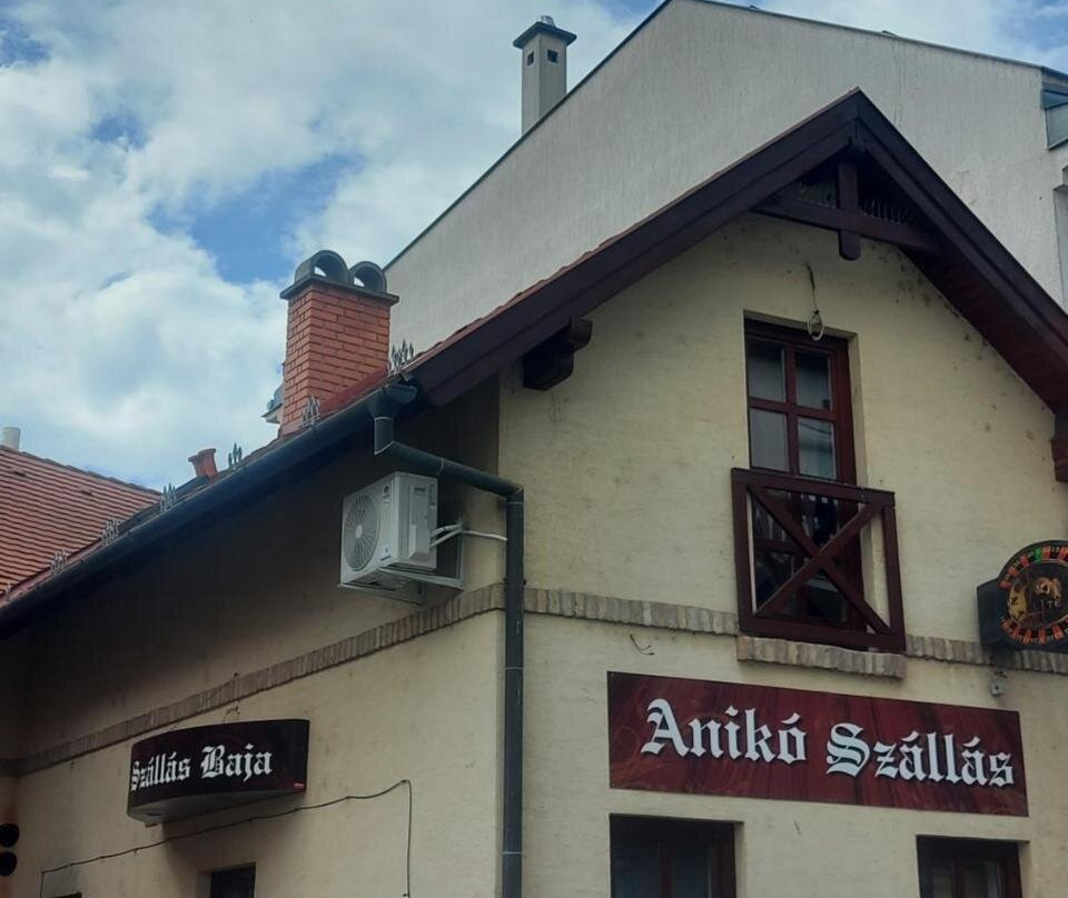 Aniko Szallas Baja