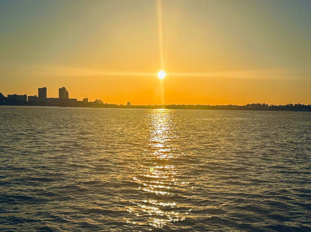 Dolphin Tales-橙色海湾必去景点