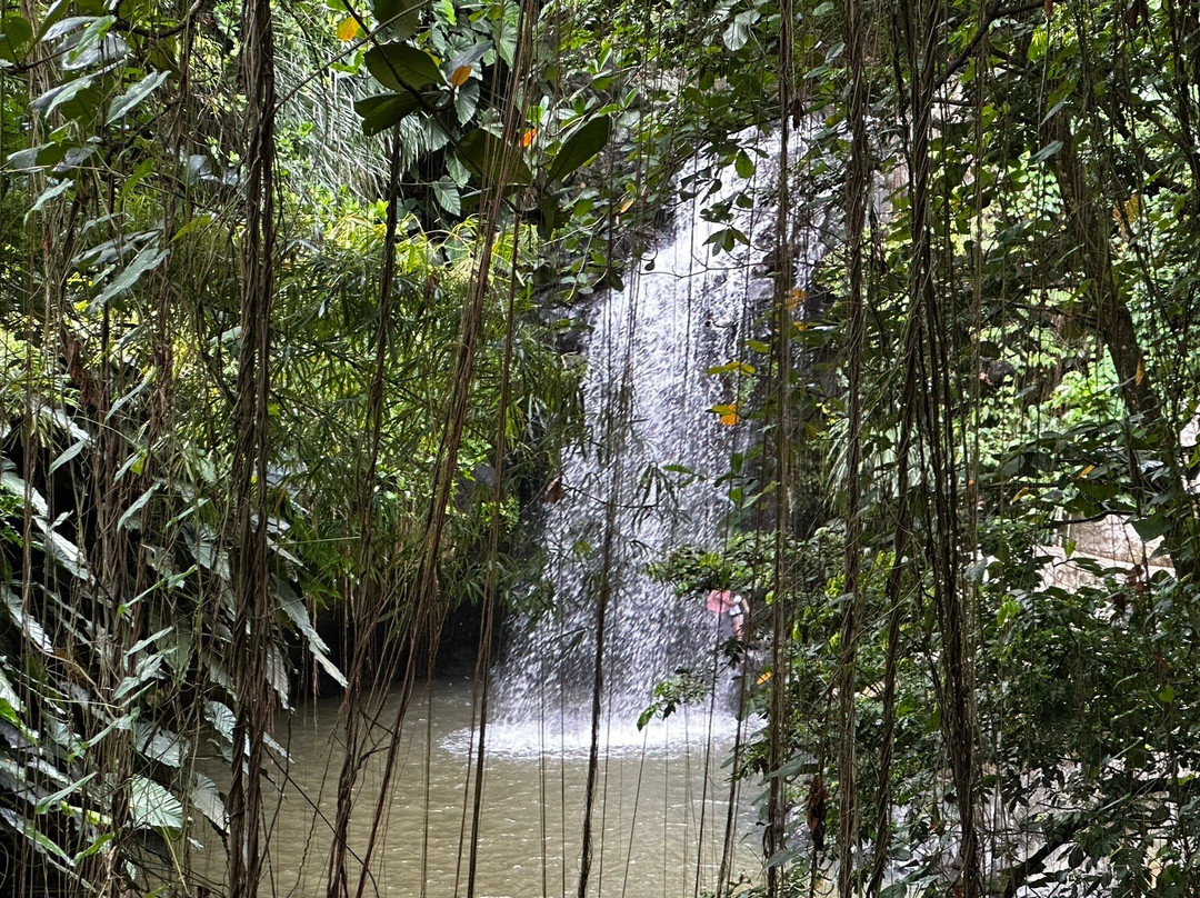 Annandale Falls-St. George's必去景点