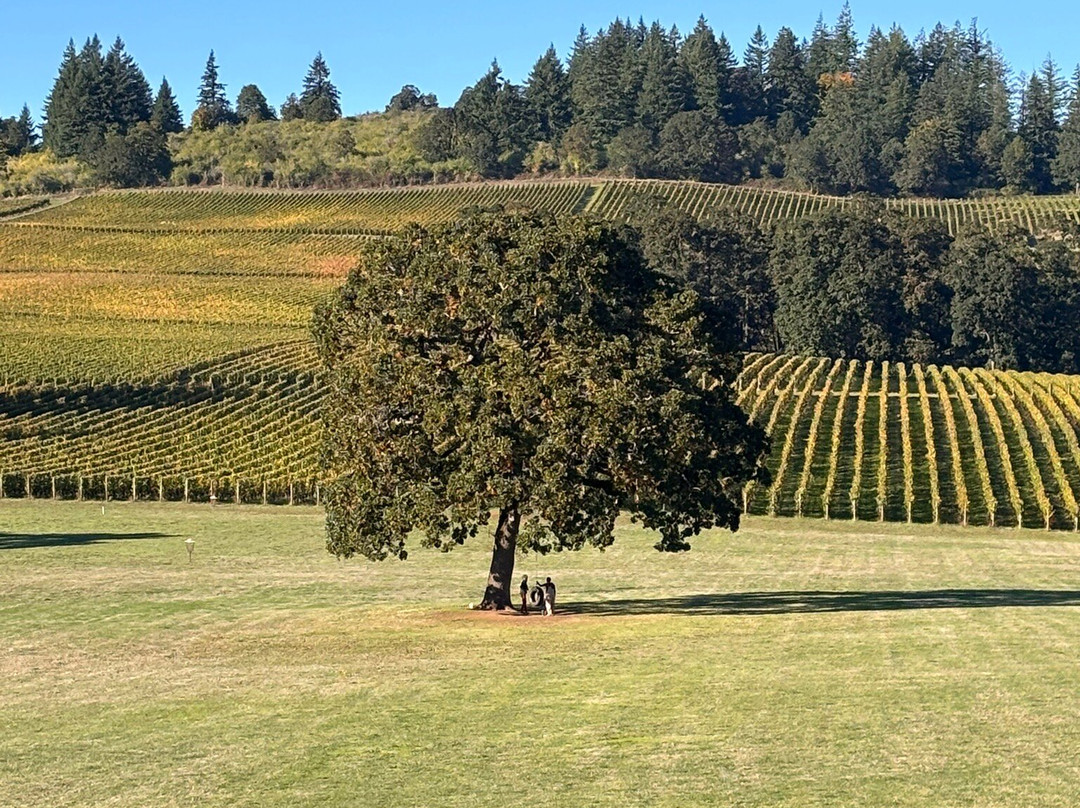 Stoller Family Estate-Dayton必去景点