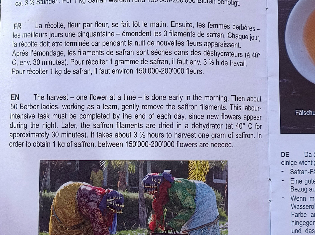 Le Paradis du Safran-Ourika必去景点