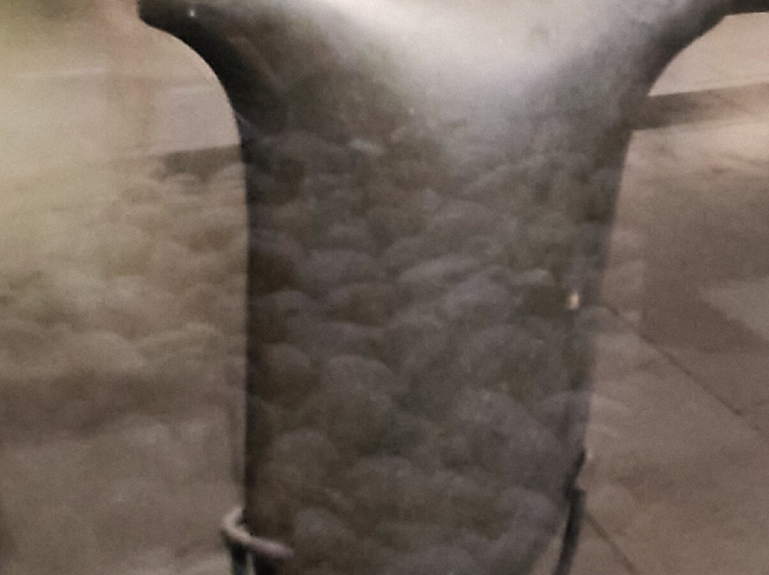 MACCO - Museo Arqueologico Centro Cultural Orellana-Coca必去景点