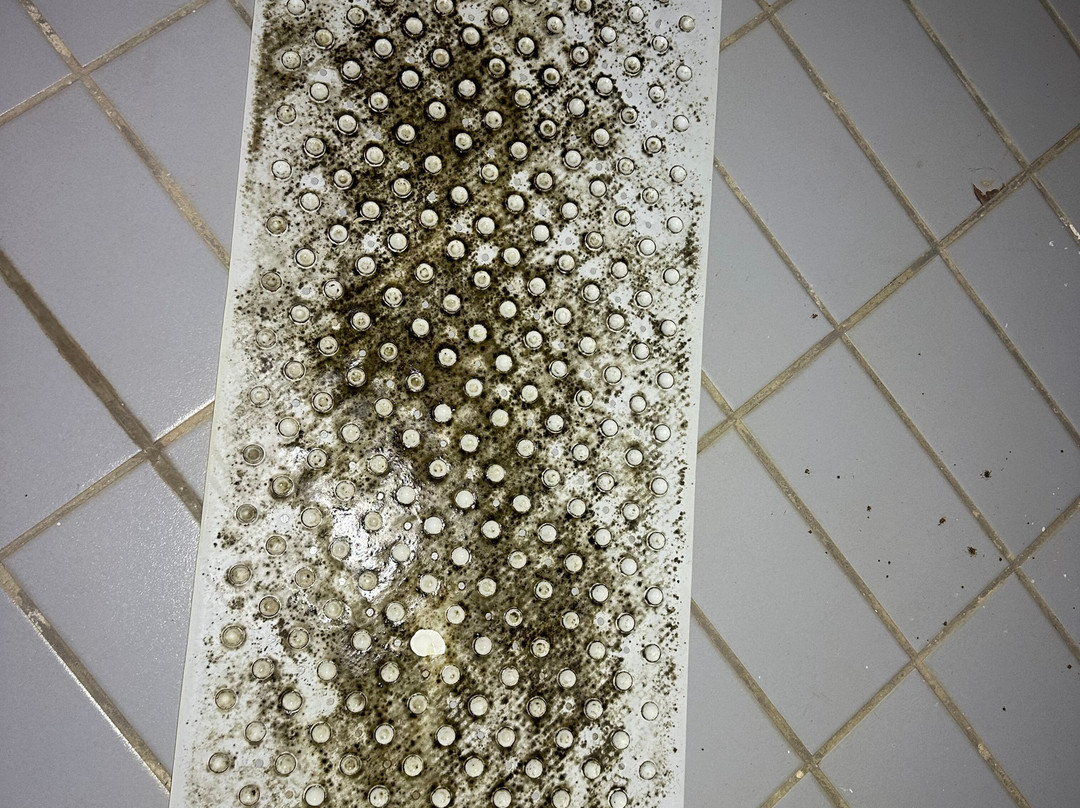 Olympia Palace Hotel主图